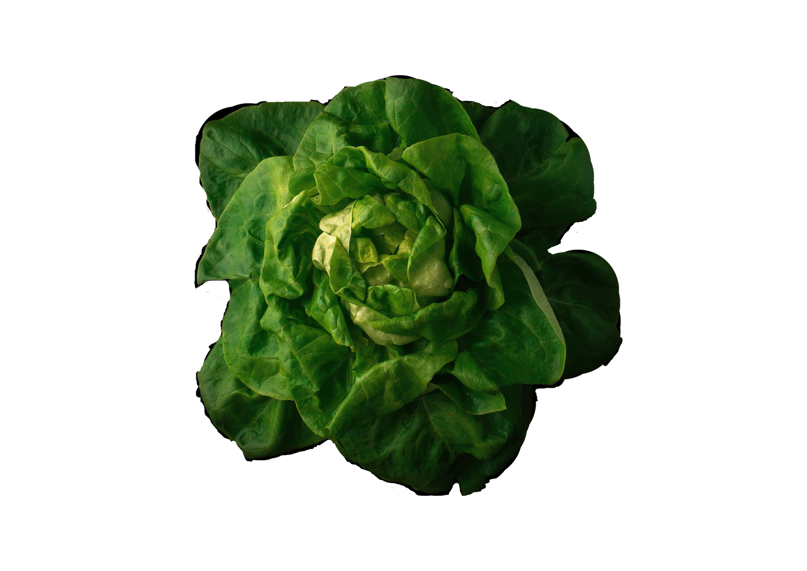 Image is not available